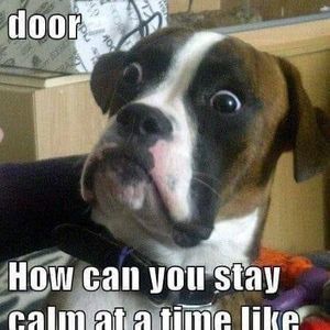 Meet your Posher, Dave